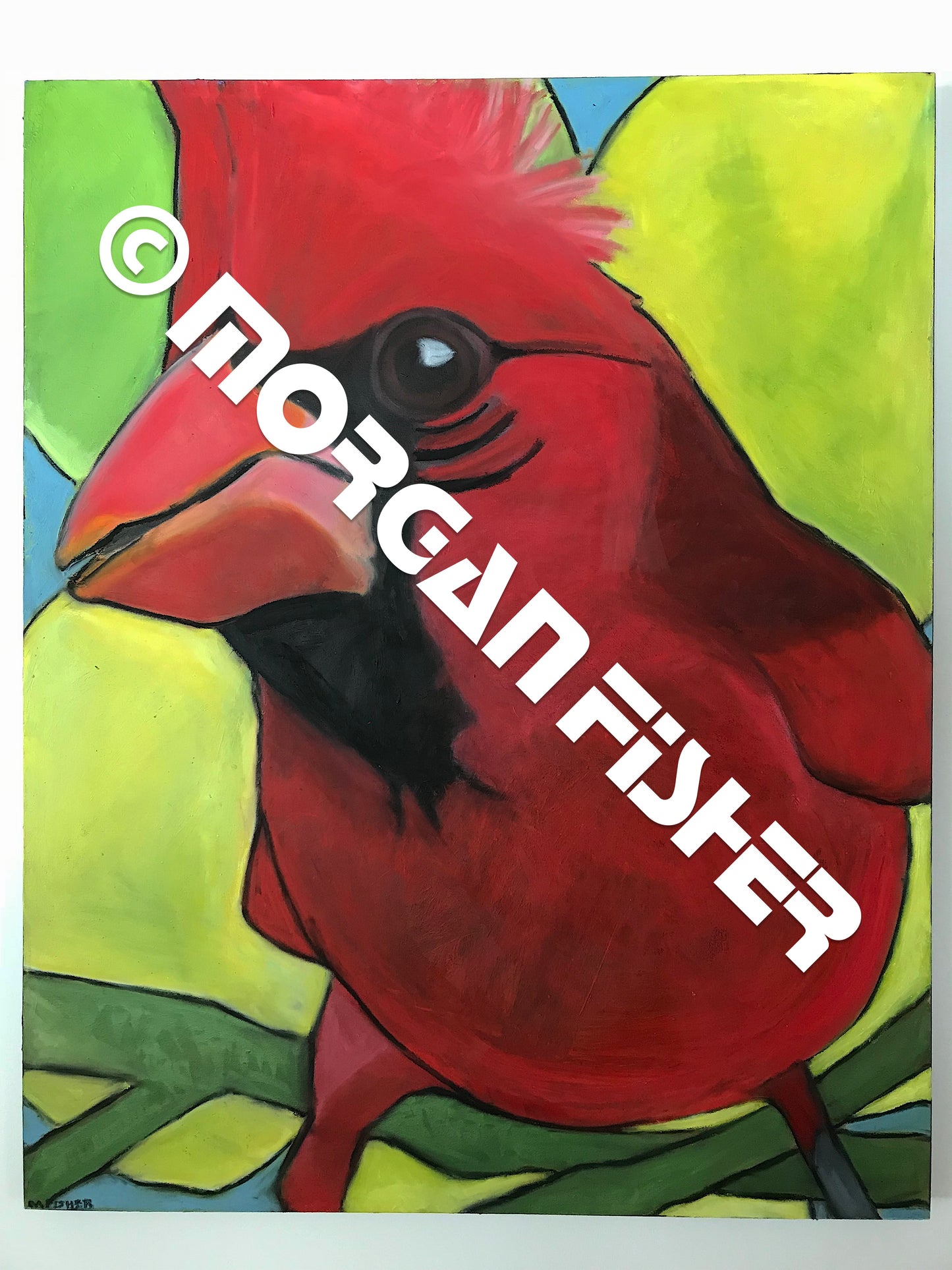 Bird Gallery | Portfolio
