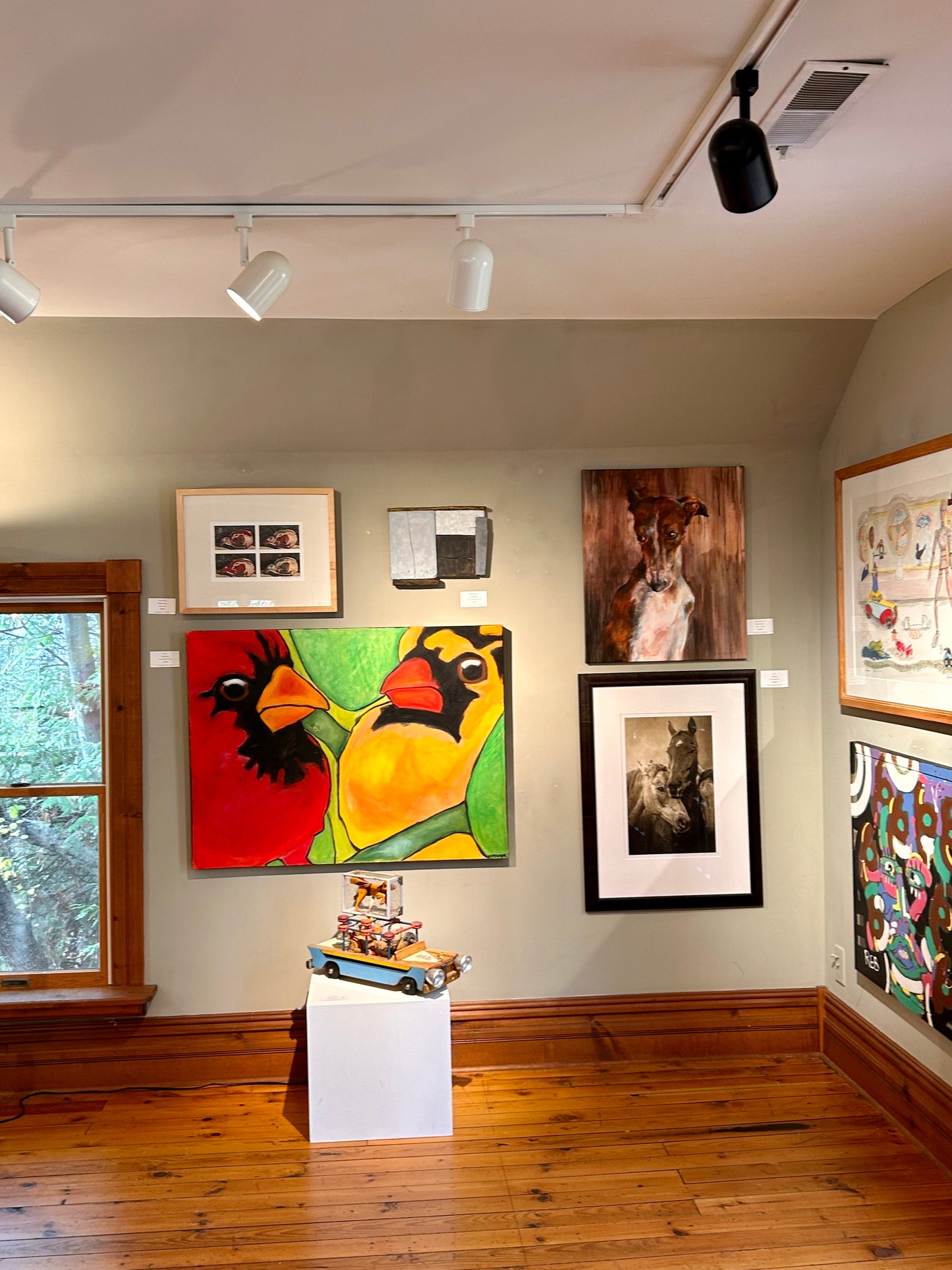Bird Gallery | Portfolio