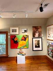 Bird Gallery | Portfolio
