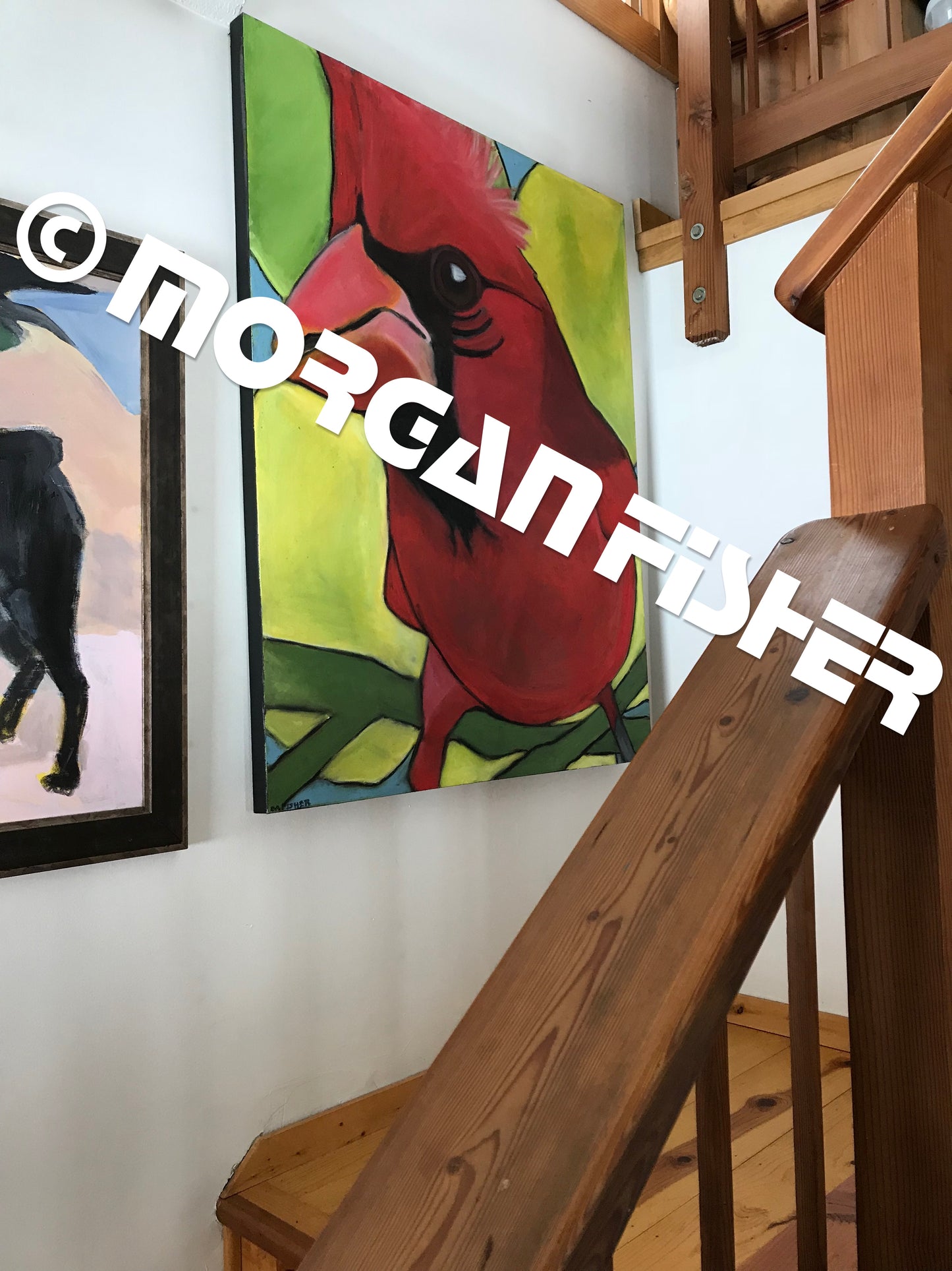 Bird Gallery | Portfolio