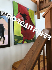 Bird Gallery | Portfolio