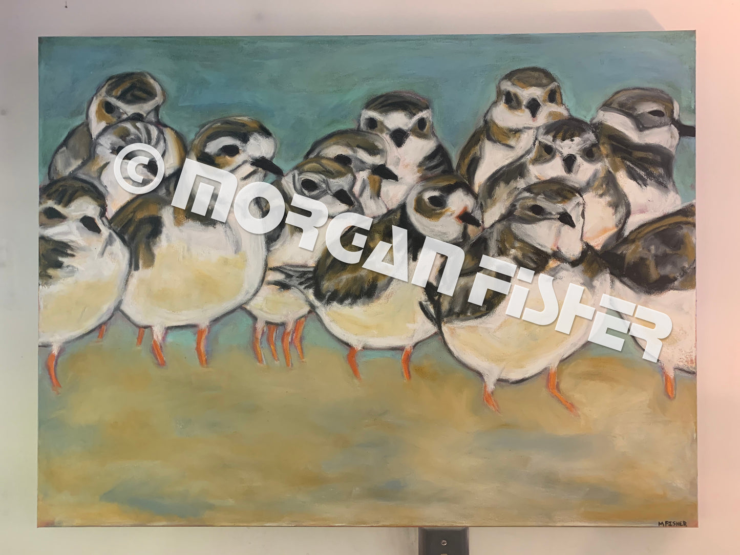 Bird Gallery | Portfolio