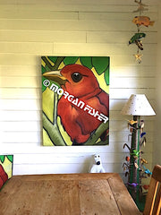 Bird Gallery | Portfolio