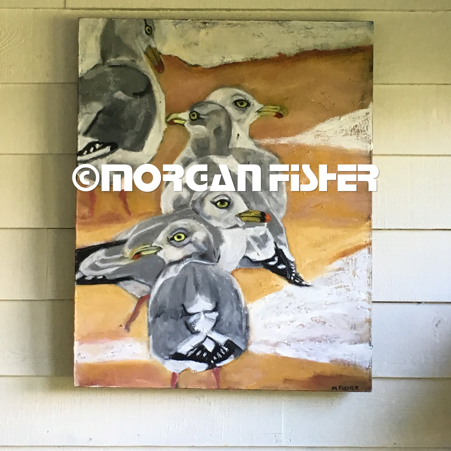 Bird Gallery | Portfolio