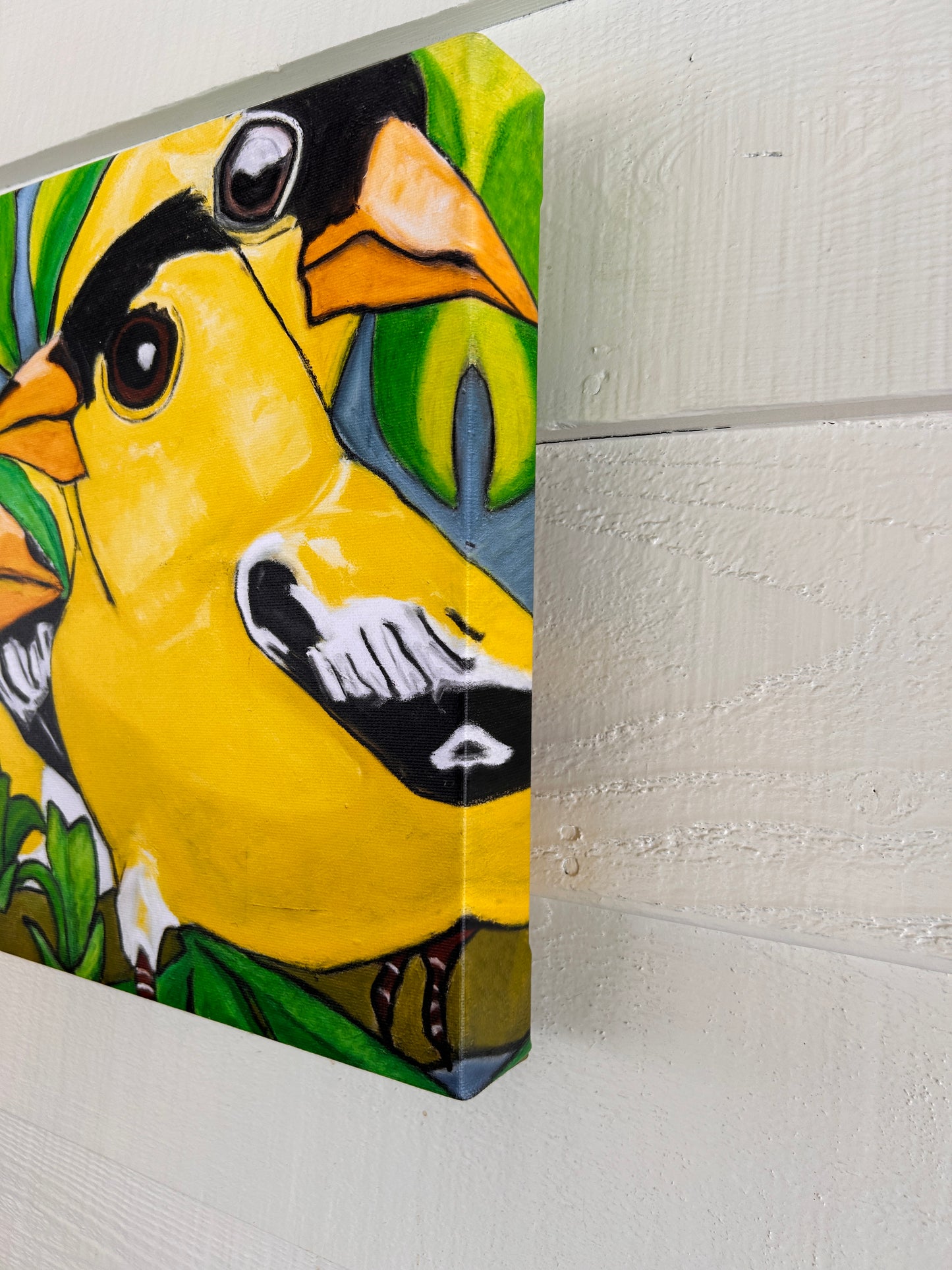 FINCH FAMILY | CANVAS GICLEE | 12 x 16