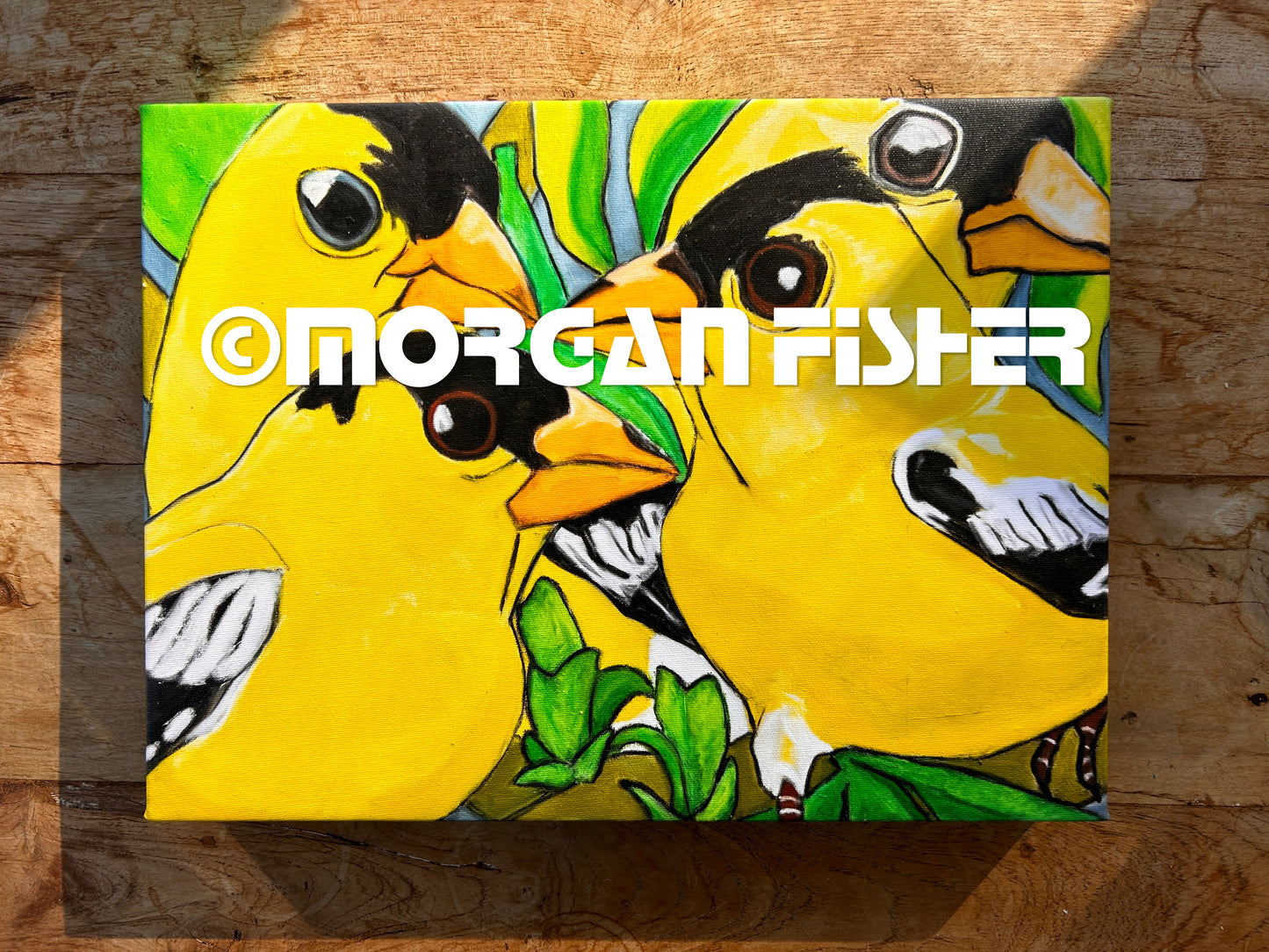 FINCH FAMILY | CANVAS GICLEE | 12 x 16