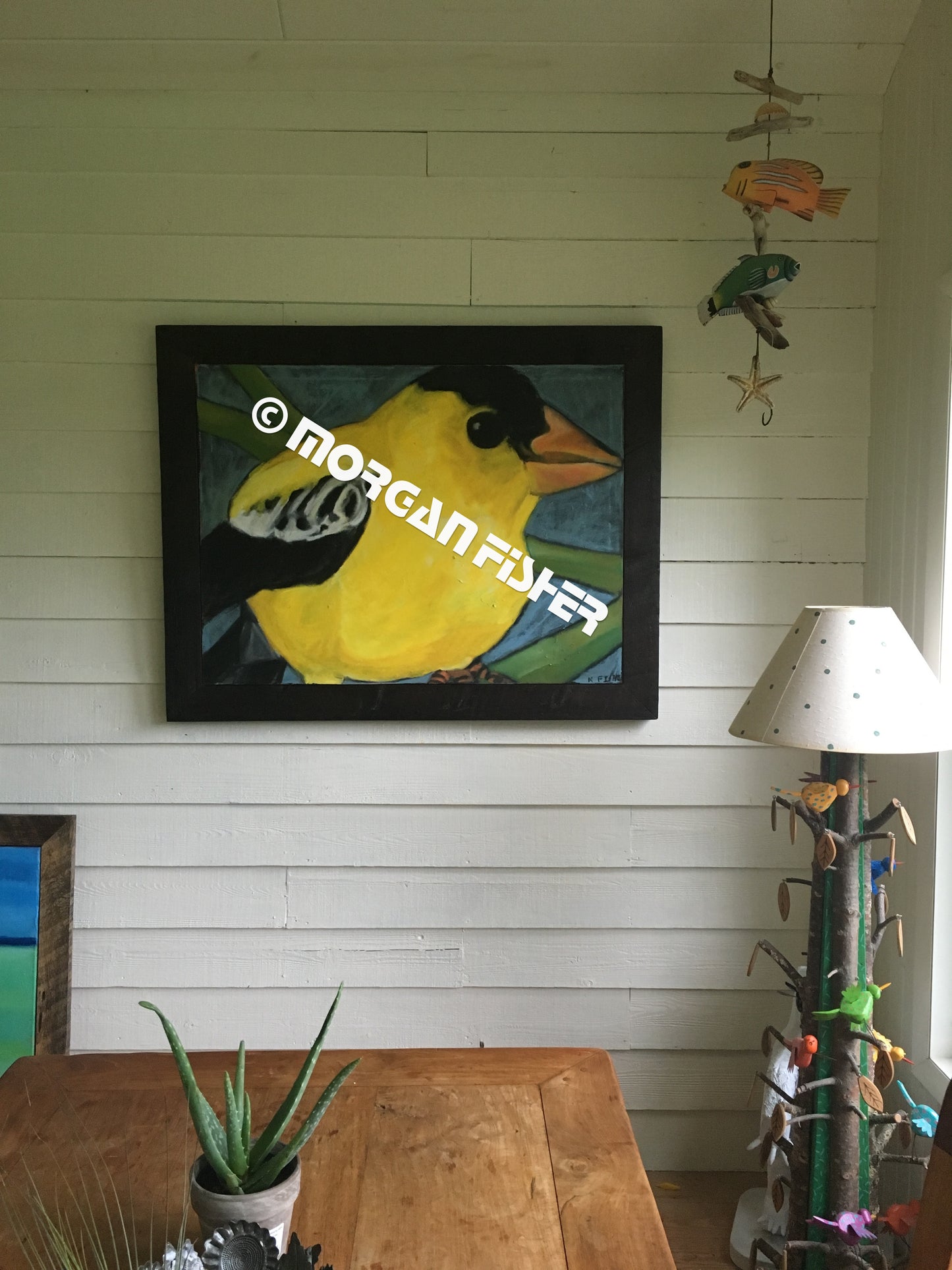 Bird Gallery | Portfolio