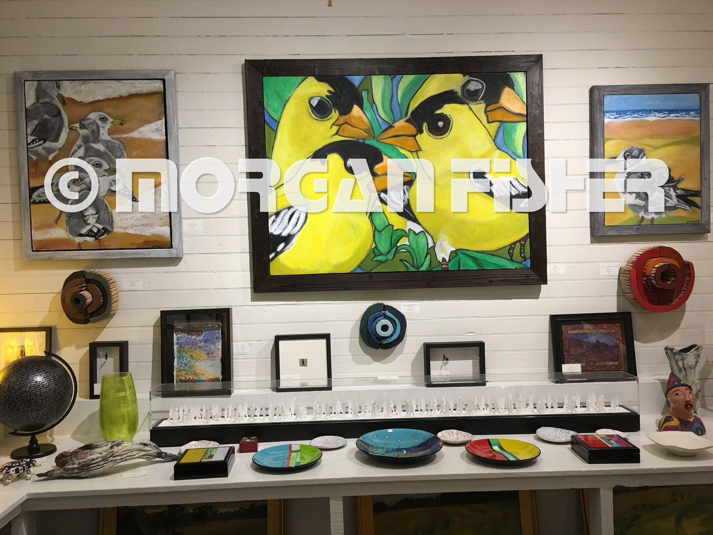 Bird Gallery | Portfolio