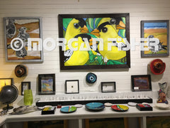 Bird Gallery | Portfolio