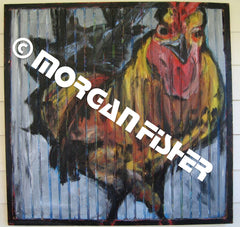 Bird Gallery | Portfolio