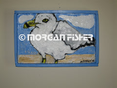 Bird Gallery | Portfolio
