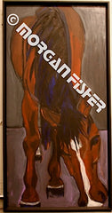 Horse Gallery | Portfolio