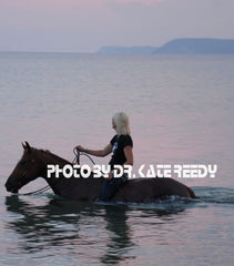 Coastal Sol™| Photos