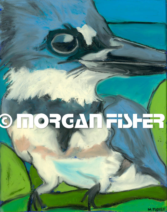 KINGFISHER 1 | CANVAS GICLEE | 14 x 16