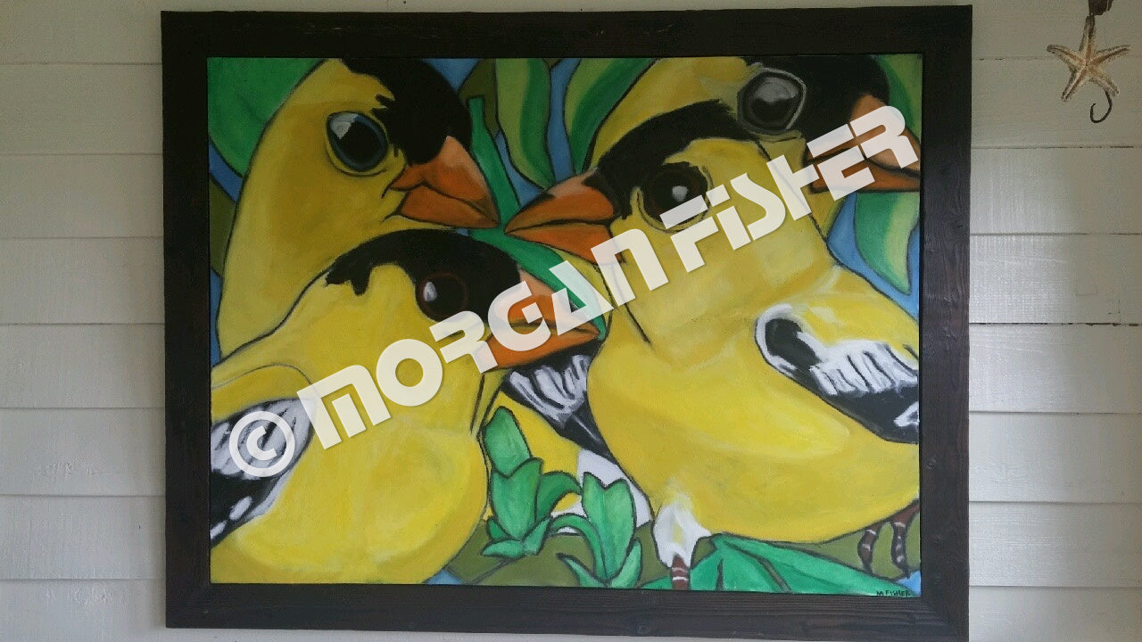 Bird Gallery | Portfolio