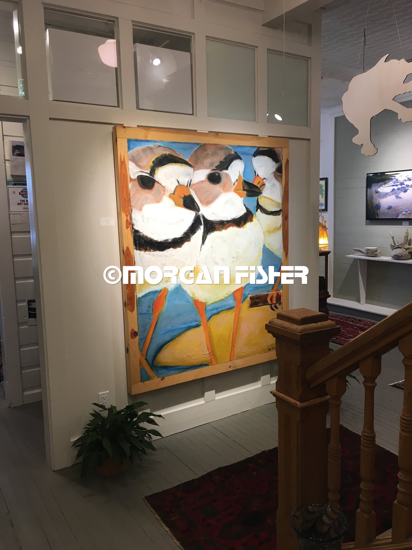 Bird Gallery | Portfolio