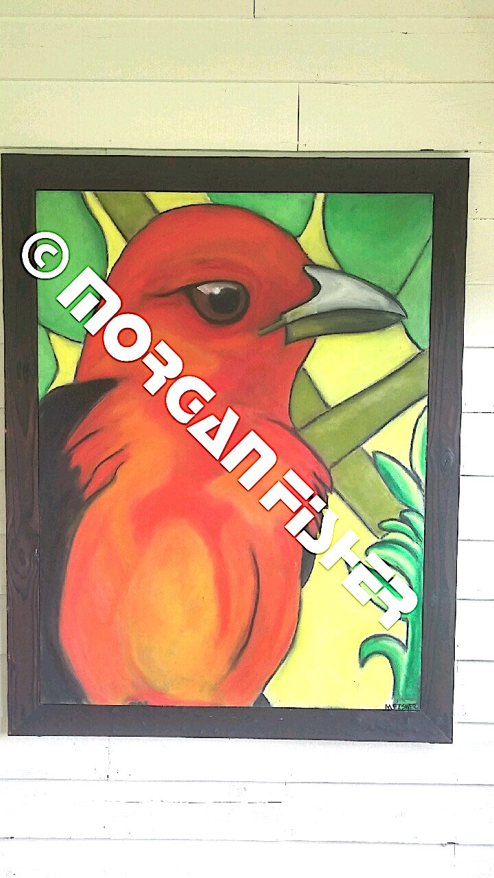 Bird Gallery | Portfolio
