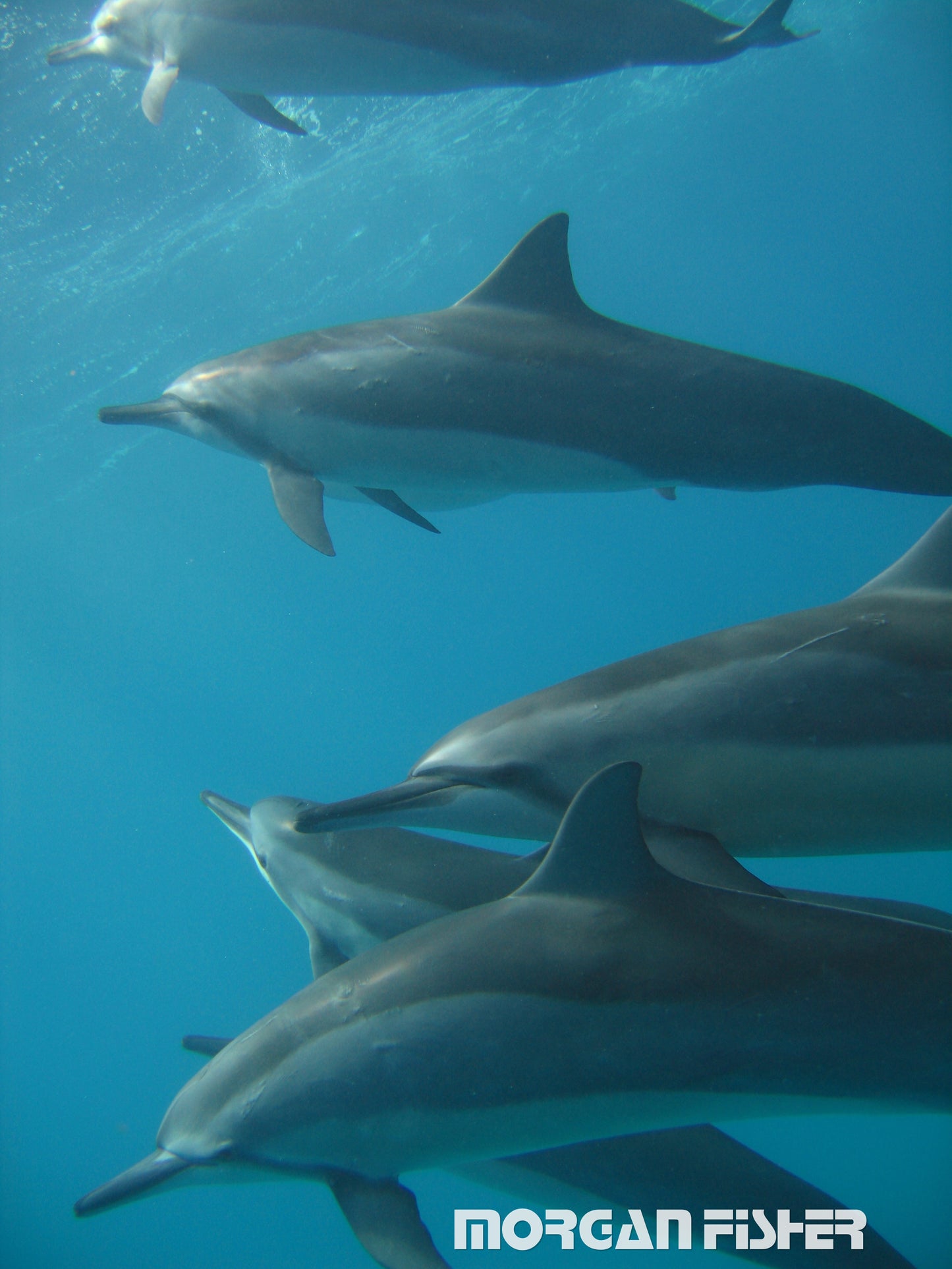 Coastal Sol™| Photos