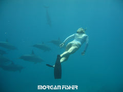 Coastal Sol™| Photos