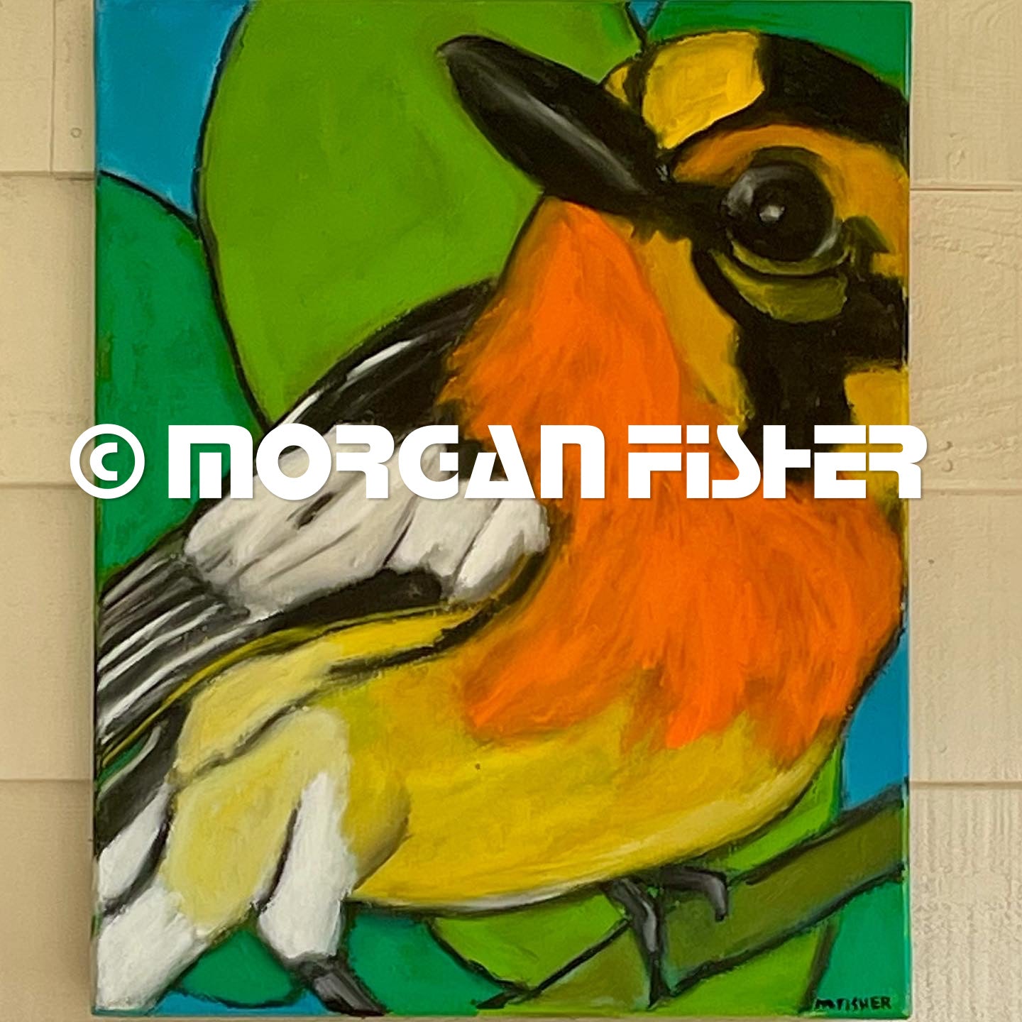 Bird Gallery | Portfolio