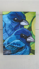 INDIGO BUNTINGS | CANVAS GICLEE | 12 x 16