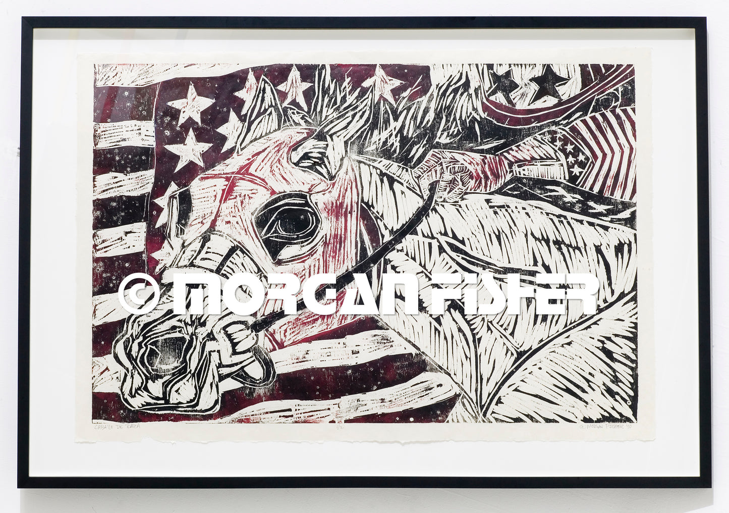 Horse Gallery | Portfolio
