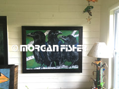 Bird Gallery | Portfolio