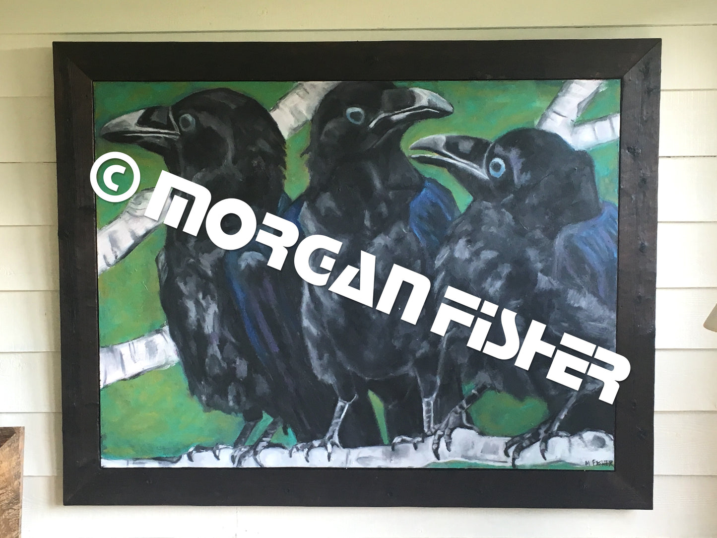 Bird Gallery | Portfolio