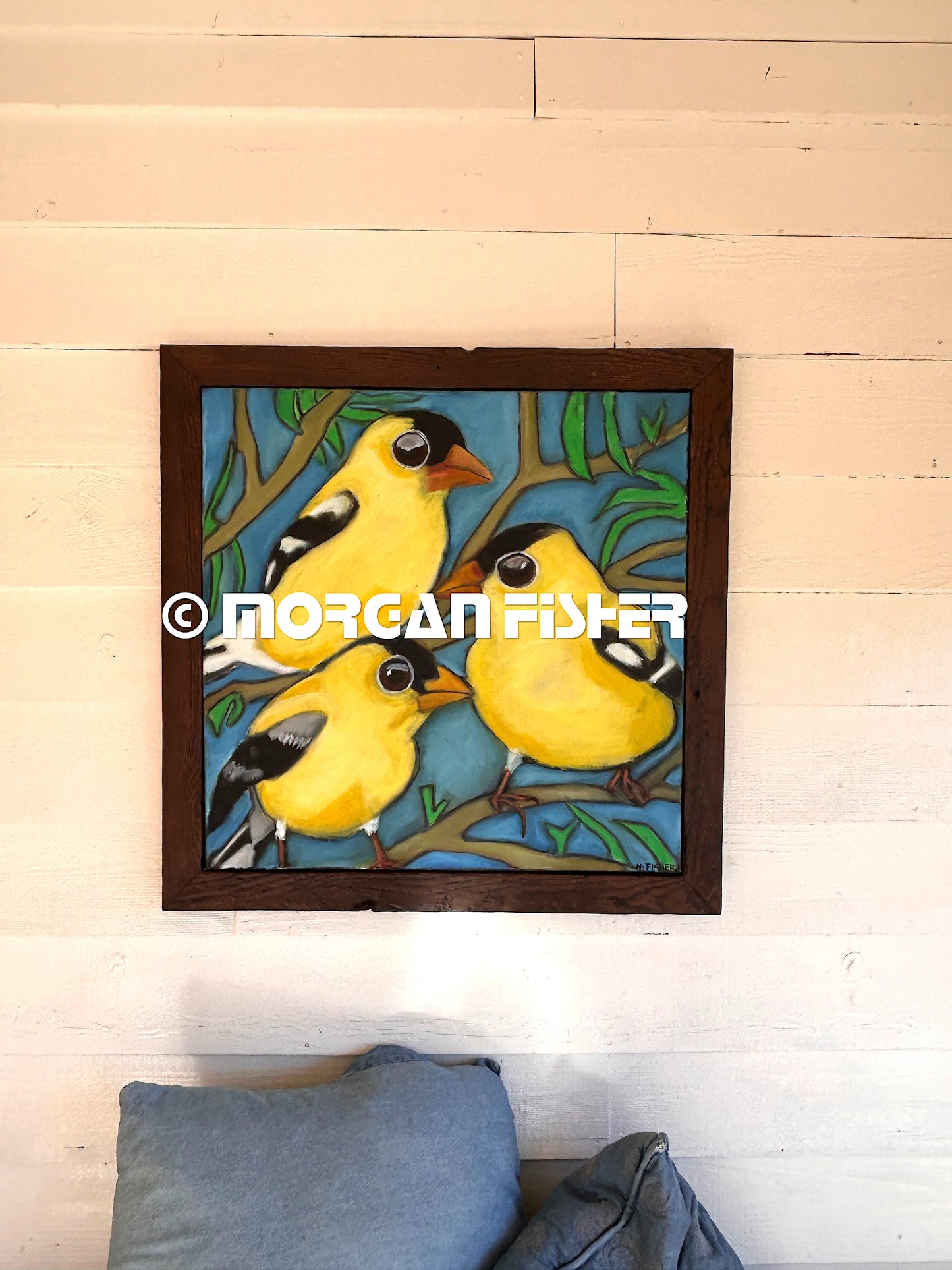 Bird Gallery | Portfolio