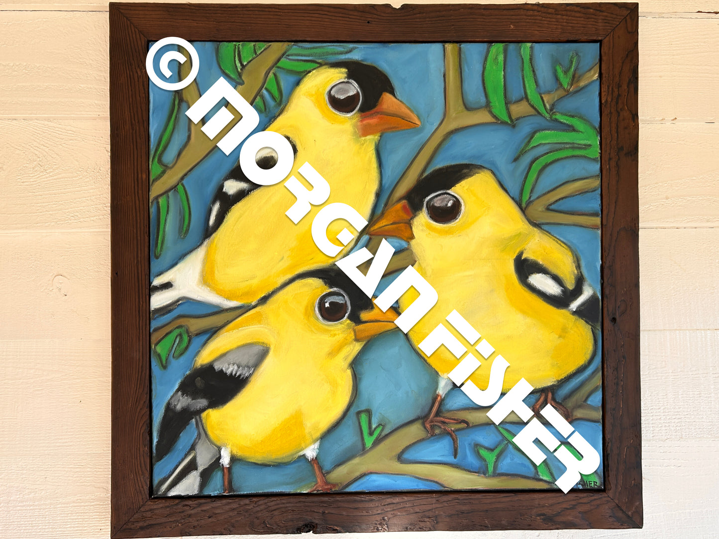 Bird Gallery | Portfolio