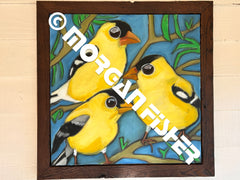 Bird Gallery | Portfolio