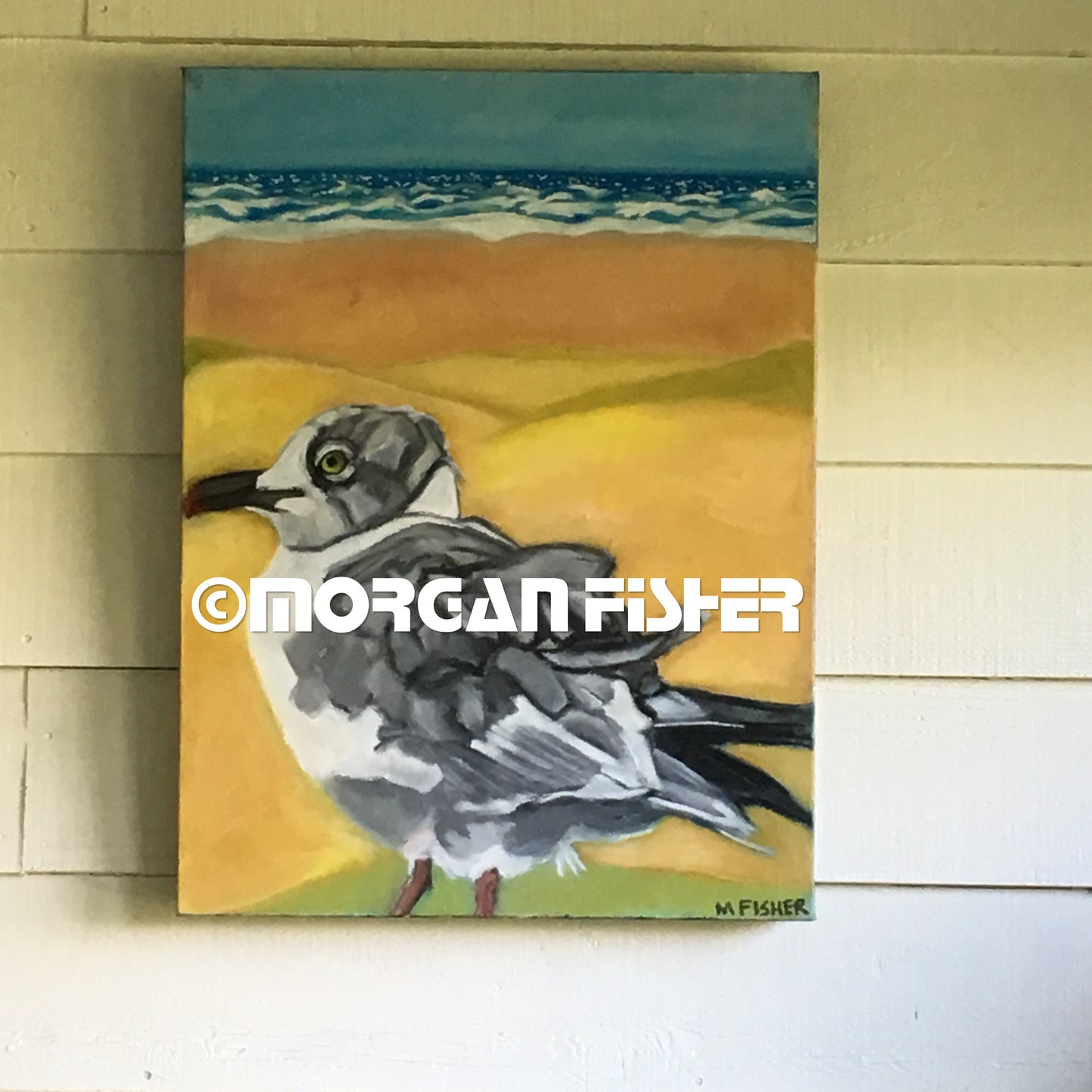 Bird Gallery | Portfolio