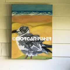 Bird Gallery | Portfolio