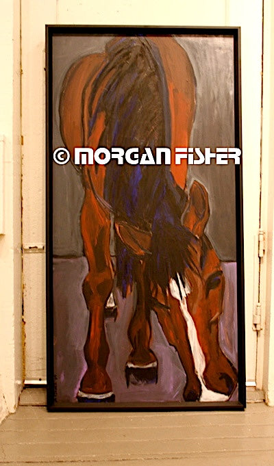 Horse Gallery | Portfolio