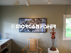 Bird Gallery | Portfolio