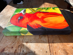 TANAGER IN LEAVES 2 | CANVAS GICLEE | 12 x 16