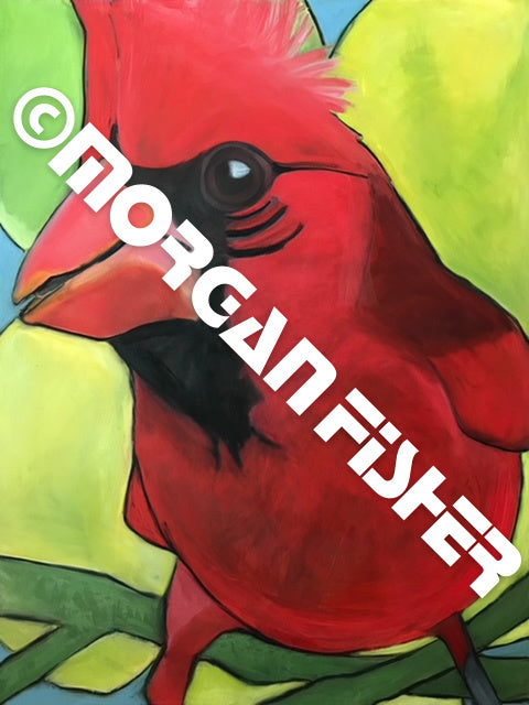 CARDINAL MALE |  CANVAS GICLEE | 12 x 16