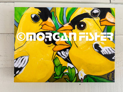 FINCH FAMILY- CANVAS GICLEE-12 x 16