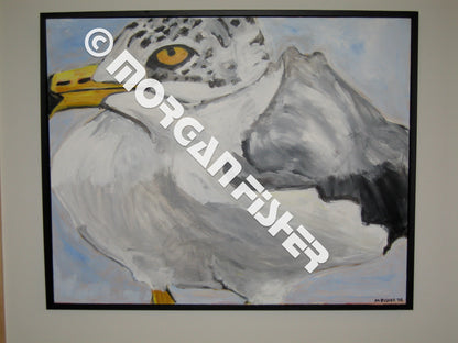 Bird Gallery 1 - Portfolio