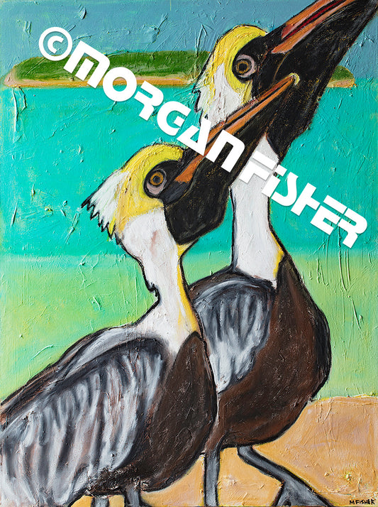 PELICANS- CANVAS GICLEE- 12 x 16