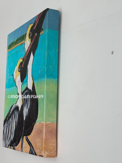 PELICANS- CANVAS GICLEE- 12 x 16