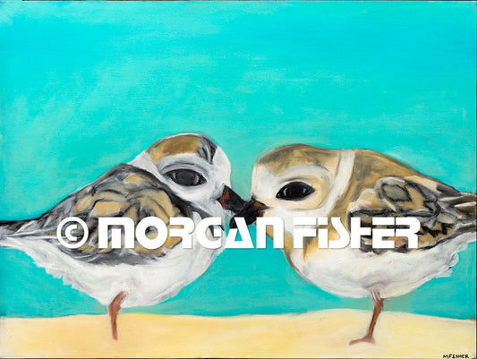 PLOVER PAIR- CANVAS GICLEE-12 x 16