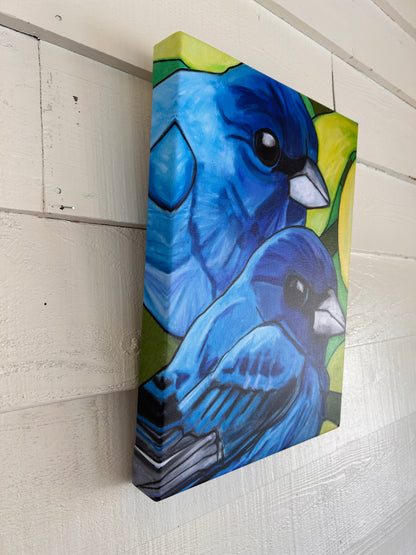 INDIGO BUNTINGS- CANVAS GICLEE-12 x 16