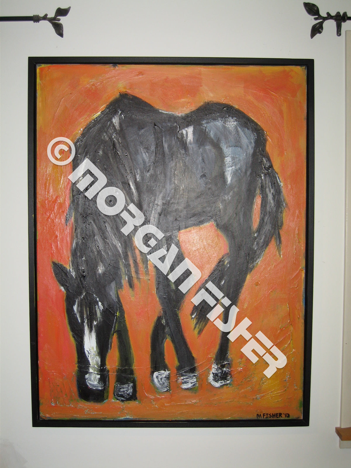 Horse Gallery 1- Portfolio