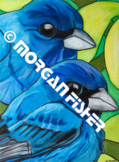 INDIGO BUNTINGS- CANVAS GICLEE-12 x 16