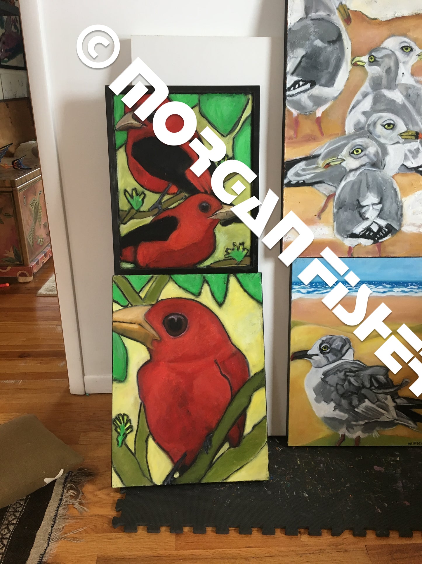 Bird Gallery 1 - Portfolio